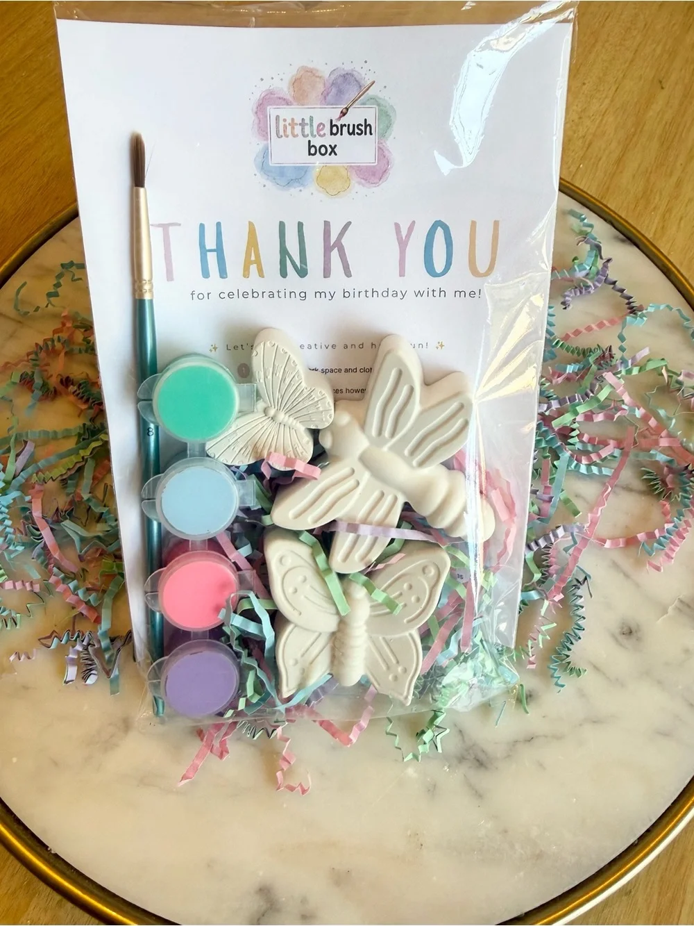 Paint-Your-Own Butterfly & Dragonfly Plaster Favors Set - Pastel Paint Included